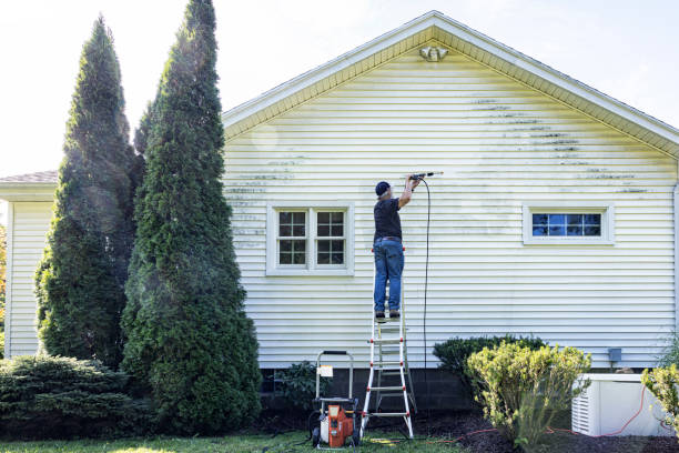 Best Driveway Pressure Washing  in Jasper, TX